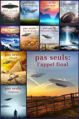 Pas seuls (T0.5 à T10) - Craig A. Falconer (2025)