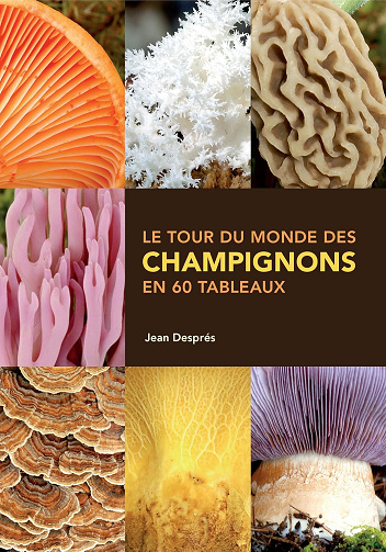 Le tour du monde des champignons en 60 tableaux -  Jean Després (2014)