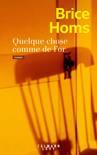 Quelque chose comme de l'or - Brice Homs (2025)