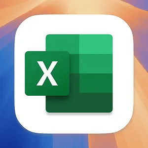 Microsoft Excel LTSC Standard pour Mac 2024 v16.94 VL Multilingues