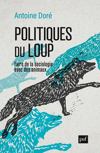 Politiques du loup: Faire de la sociologie avec des animaux - Antoine Doré (2025)