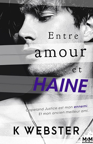 Entre amour et haine - K. Webster (2022)