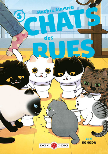Hachi & Maruru - Chats Des Rues - Tome 05