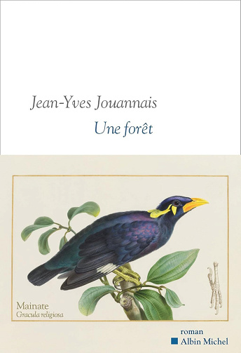 Une forêt - Jean-Yves Jouannais (2026)