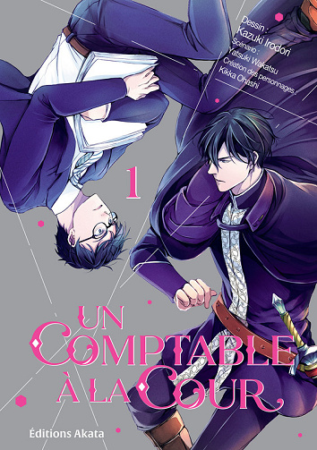 Un comptable à la cour - Tome 01