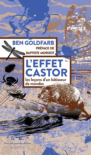 L'effet castor : les leçons d'un bâtisseur de mondes - Ben Goldfarb (2026)