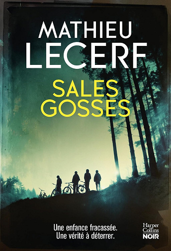 Sales gosses -  Mathieu Lecerf (2026)