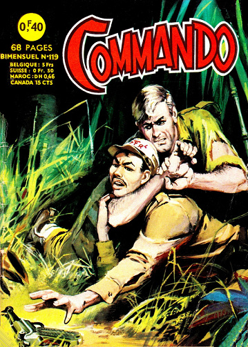 Commando - Tome 119