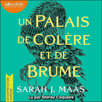 Un palais de colère et de brume: Un palais d'épines et de roses, tome 2 (ACOTAR) - Sarah J. Maas, Anne-Judith Descombey