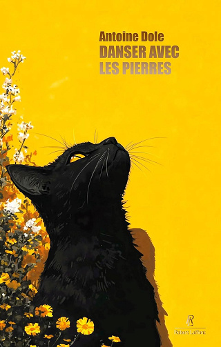 Antoine Dole - Danser avec les pierres (2026)