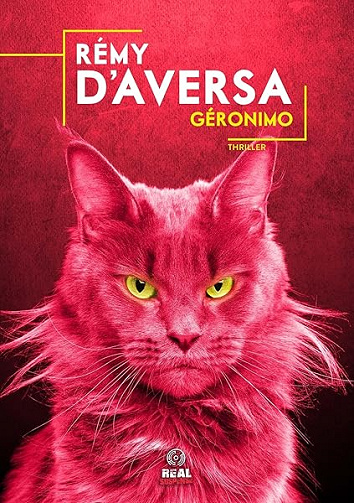 Géronimo - Rémy D'Aversa