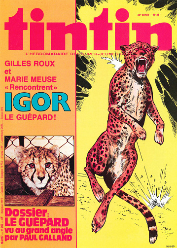 Nouveau Tintin - Tome 262