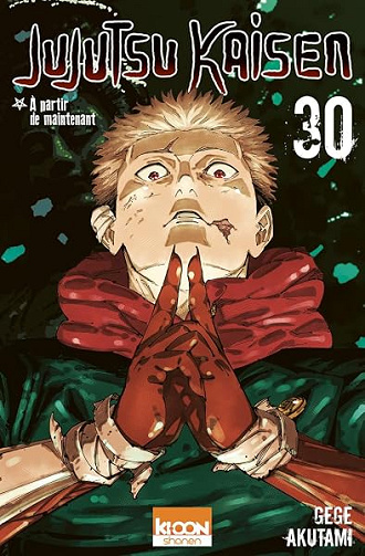 Jujutsu Kaisen T30 - Gege Akutami (2026)