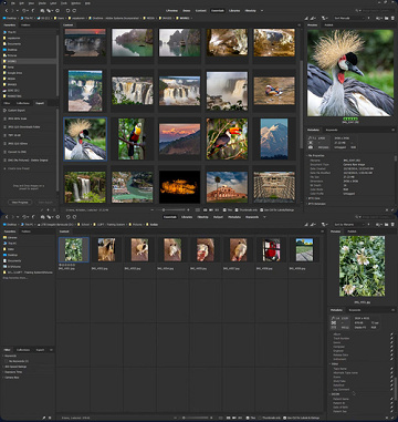 [Windows] Adobe Bridge 2026 (v16.0.6) [x64 Multi PREACTIVATED] (2026)