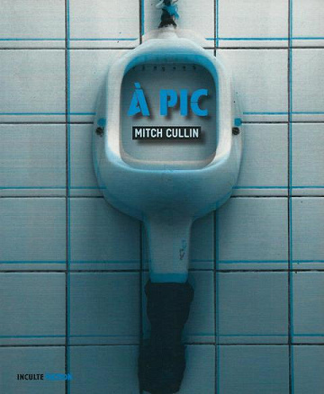 À pic - Mitch Cullin