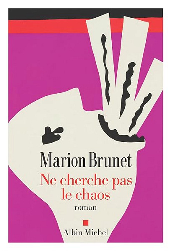 Ne cherche pas le chaos - Marion Brunet (2026)