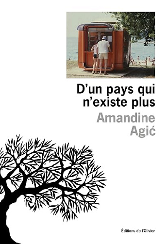 D'un pays qui n'existe plus - Amandine Agic (2026)