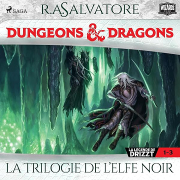 Compilation Dungeons & Dragons: La Trilogie de l'Elfe noir, Vol. 1-3 - R.A. Salvatore, Sonia Quémener - Traducteur, Yann Chican - Traducteur, Fanélie Cointot (2025)