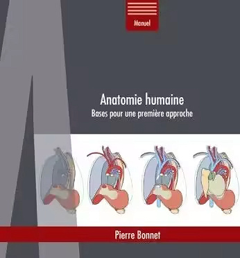 Anatomie humaine  (2025)