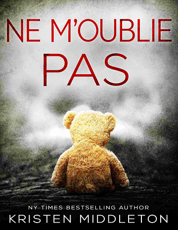 Ne m'oublie pas (Summit Lake t. 1) - Kristen Middleton (2026)