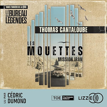 Les Mouettes - Mission Iran - Thomas Cantaloube (2026)